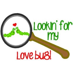 Looking For Love Bug