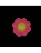 Flower with Circle Center Clippie