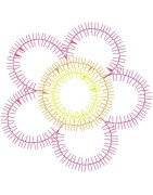 Blanket Stitch Flower