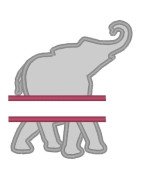 Split Elephant