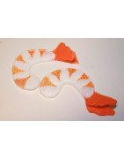 Lobster Dinner Set