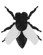 Tiny Fly