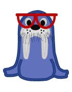Walrus