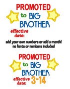 Promoted To Big Brother