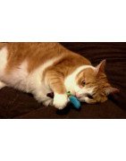 Inhp Catnip Toys