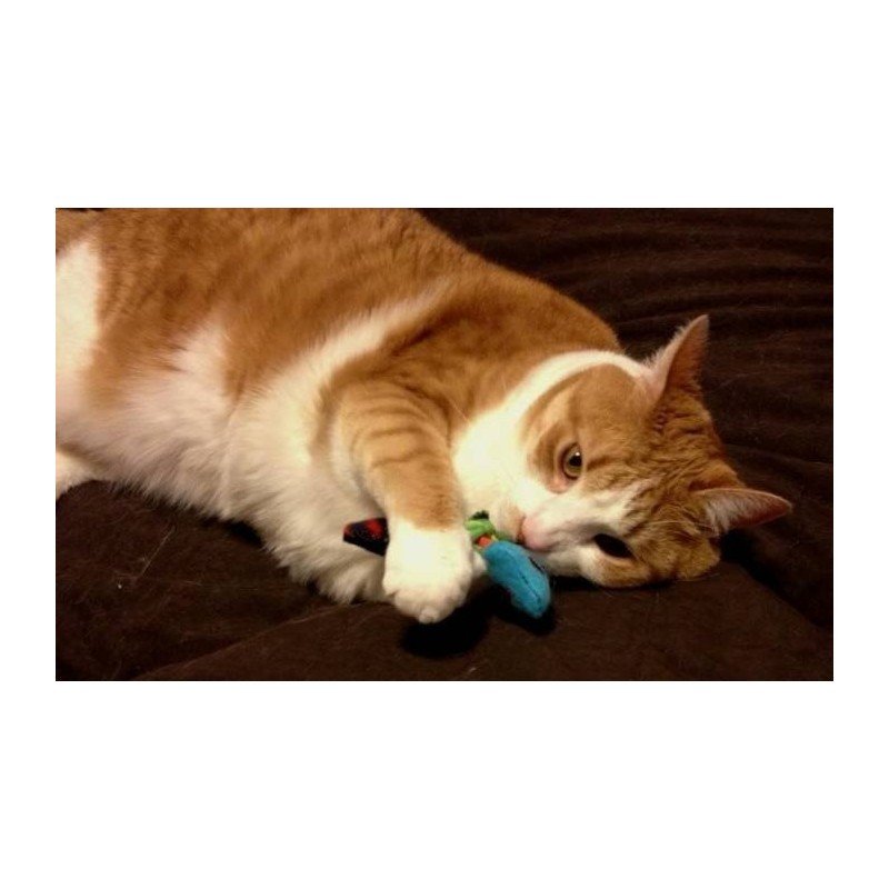 Inhp Catnip Toys