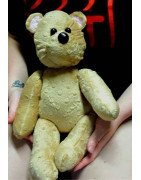 The Bear