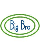 Big Bro