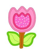 Double Tulip