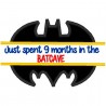 Just spent 9 months in the Bat Cave