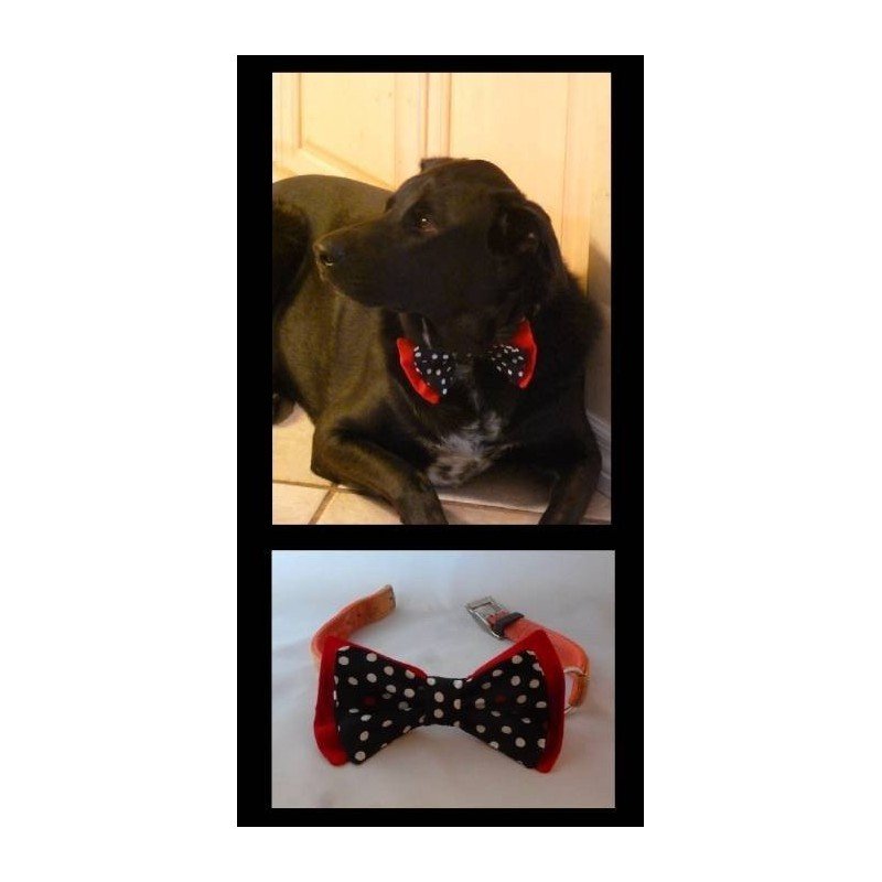 Inhp Dog Bow Tie