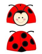 Ladybug