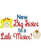 Big Sis Little Mister