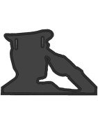 Salute