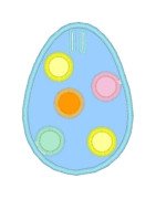 Egg2