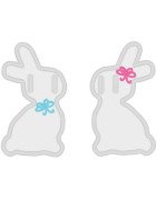Two Bunnies