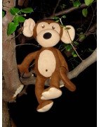 In the Hoop Monte the Monkey