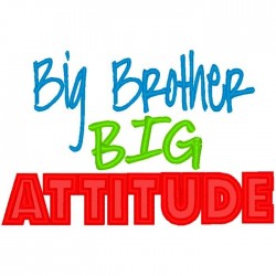 Big Brother Big Attitude