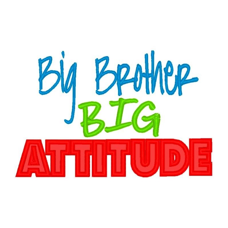 Big Brother Big Attitude