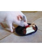 In the Hoop Pigs in the Blanket and Tater Tots