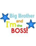 Big Brother Boss