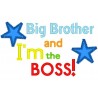 Big Brother Boss