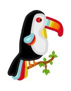 Toucan Applique