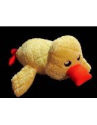 In Hoop Waddles the Duck