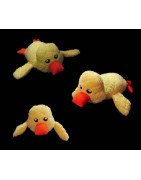 In Hoop Waddles the Duck