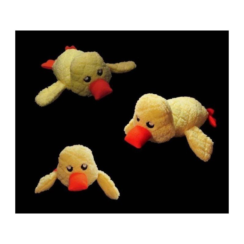 In Hoop Waddles the Duck