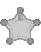 Star Badge
