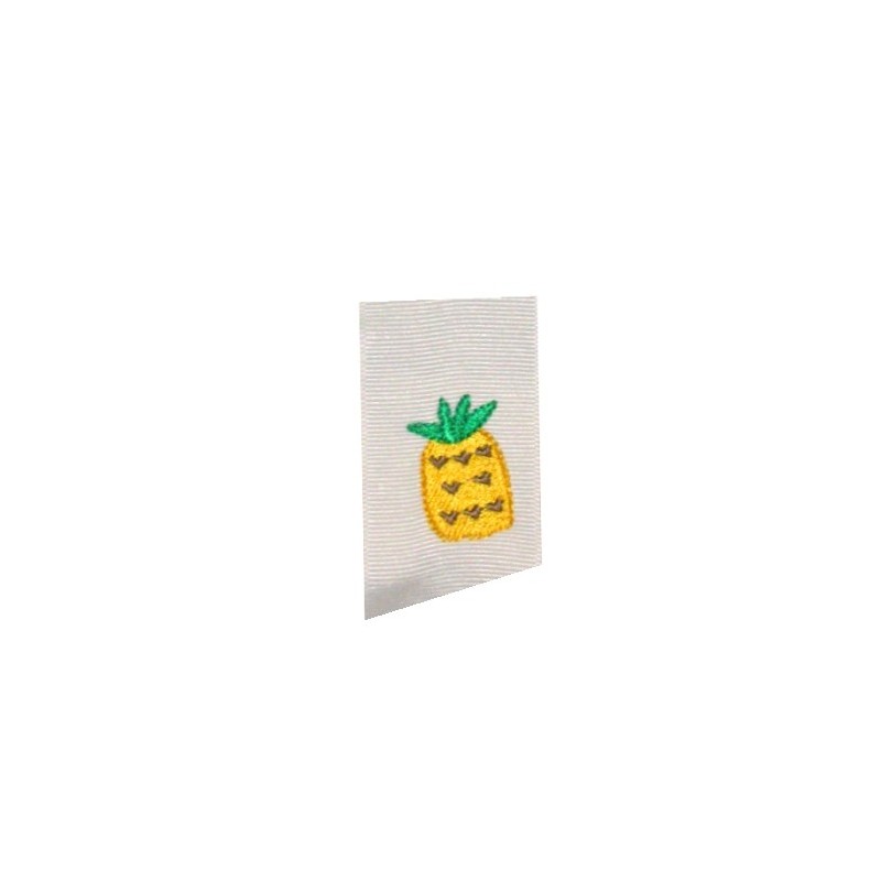 pineapple-teeny