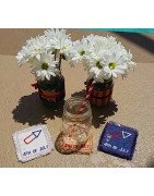 4th of July Coasters