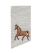 horse-teeny