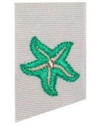 starfish-teeny