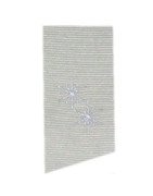 snowflake-teeny