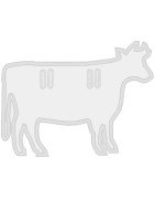 Cow  Silhouette  Banner