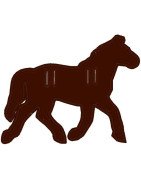 Horse Silhouette  Banner