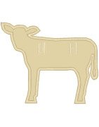 Lamb Silhouette  Banner