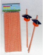 Graduation Straw Buddies