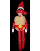 In Hoop Turtle Elf