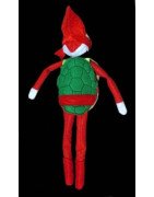In Hoop Turtle Elf
