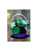 In Hoop Interchangeable St Patricks Day  Front