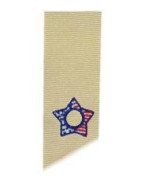 4th Star Tiny Design