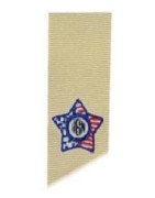 4th Star Tiny Design