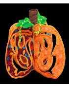 In Hoop 3D Pumpkin