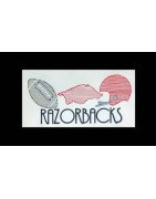 Razorbacks Football Line Art