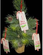 In Hoop Candy Cane Holder with Holly