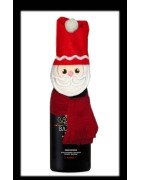 In Hoop Santa Wine Topper 