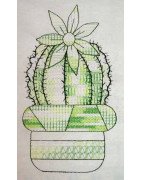 Mandala Flowering Cactus